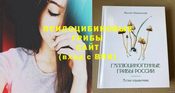 ешки Бабаево