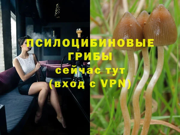 ALPHA PVP Ахтубинск