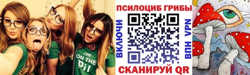 Галлюциногенные грибы Psilocybine cubensis  купить   Махачкала 