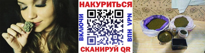 купить наркотик  Махачкала  Бошки марихуана сатива 